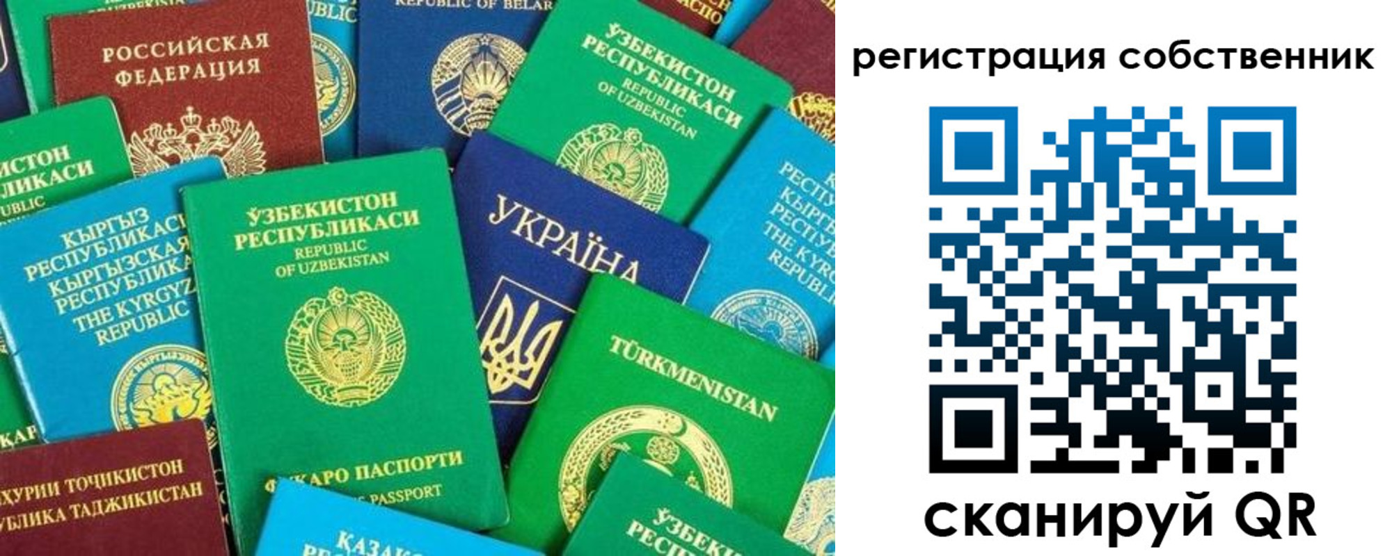 прописка в Саранске